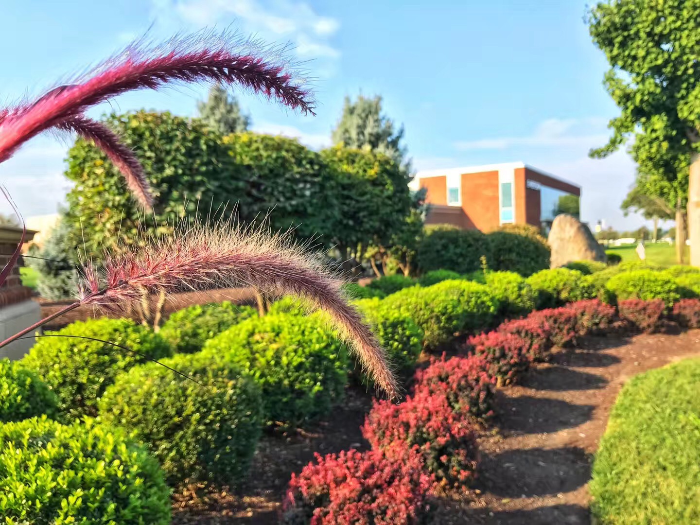 美国留学如何申请全额奖学金,留学缺钱怎么办