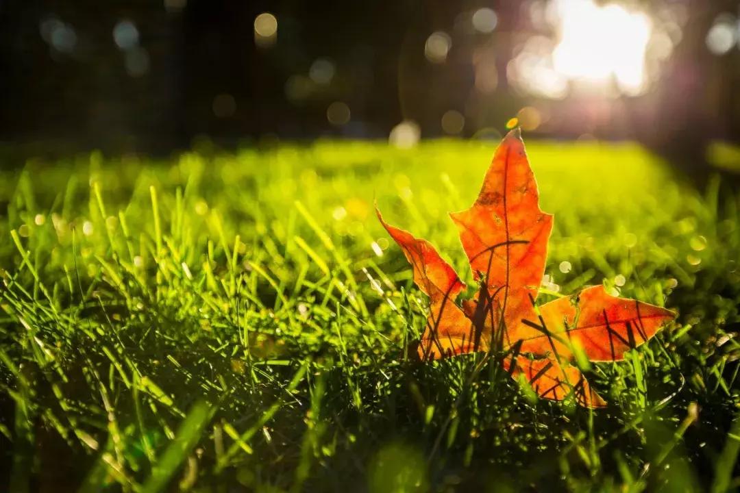 关于12个月的诗歌,12个月份的诗