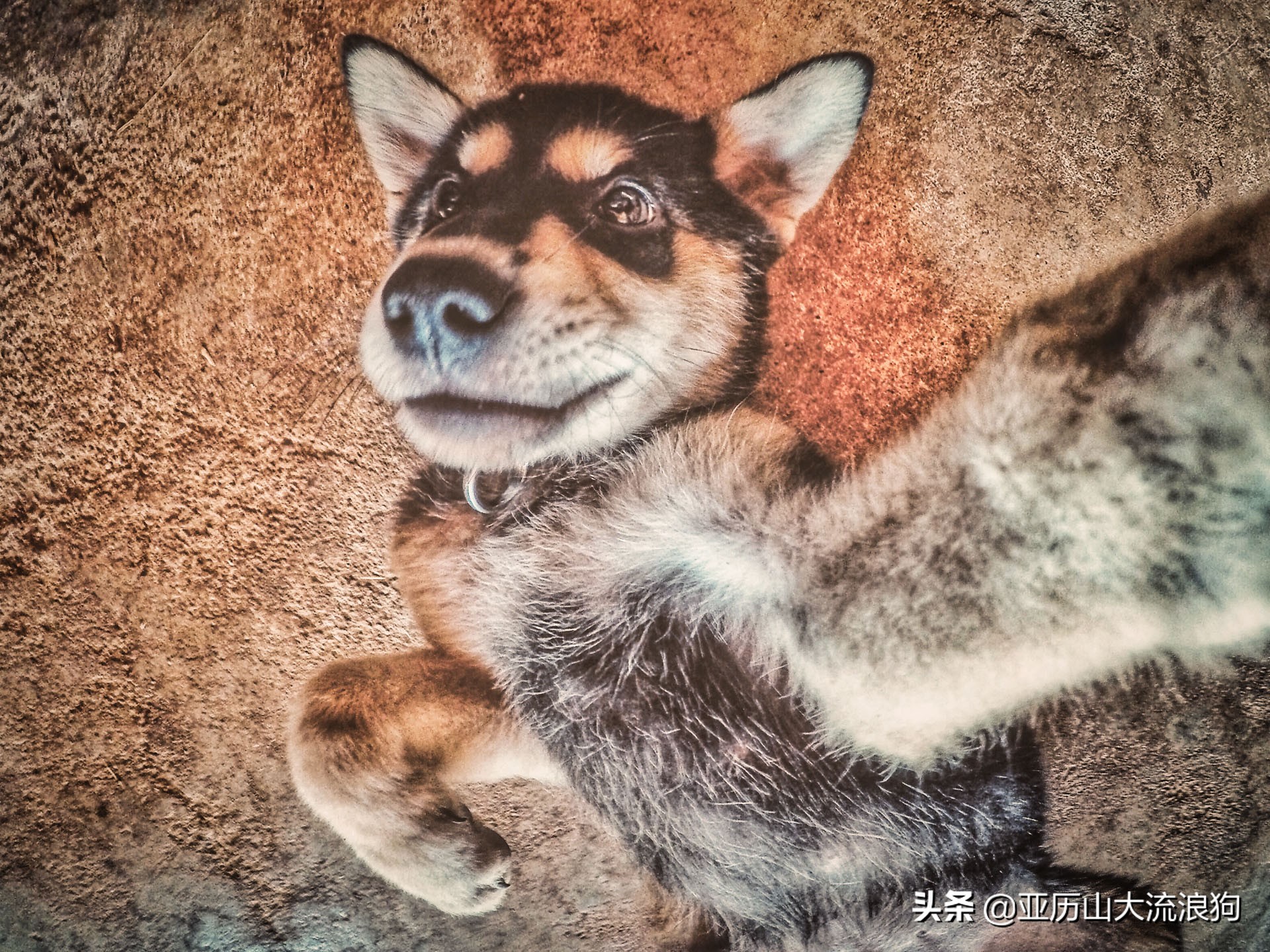 中缅边境的佛寺,旅途中遇到藏区僧人