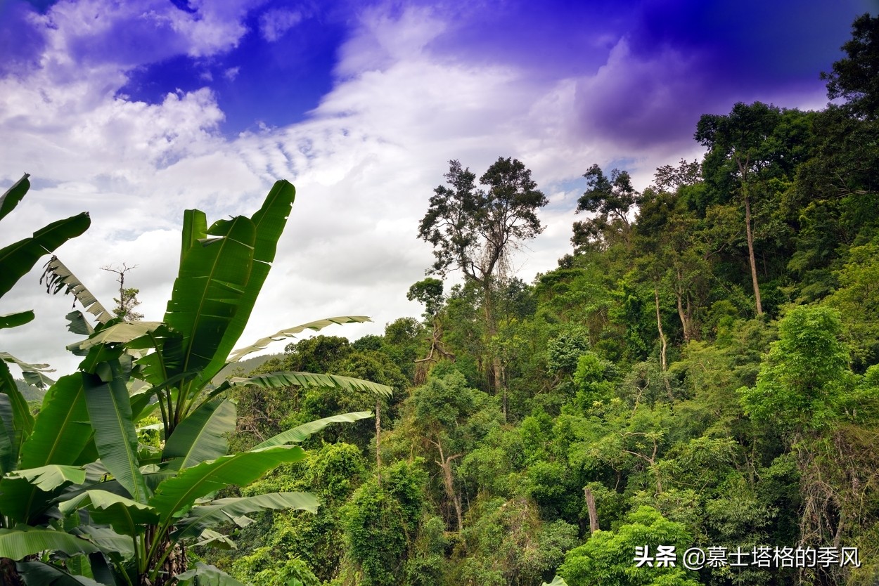海南养老性价比最高的两座城,海南养老公寓最好的包吃包住价格