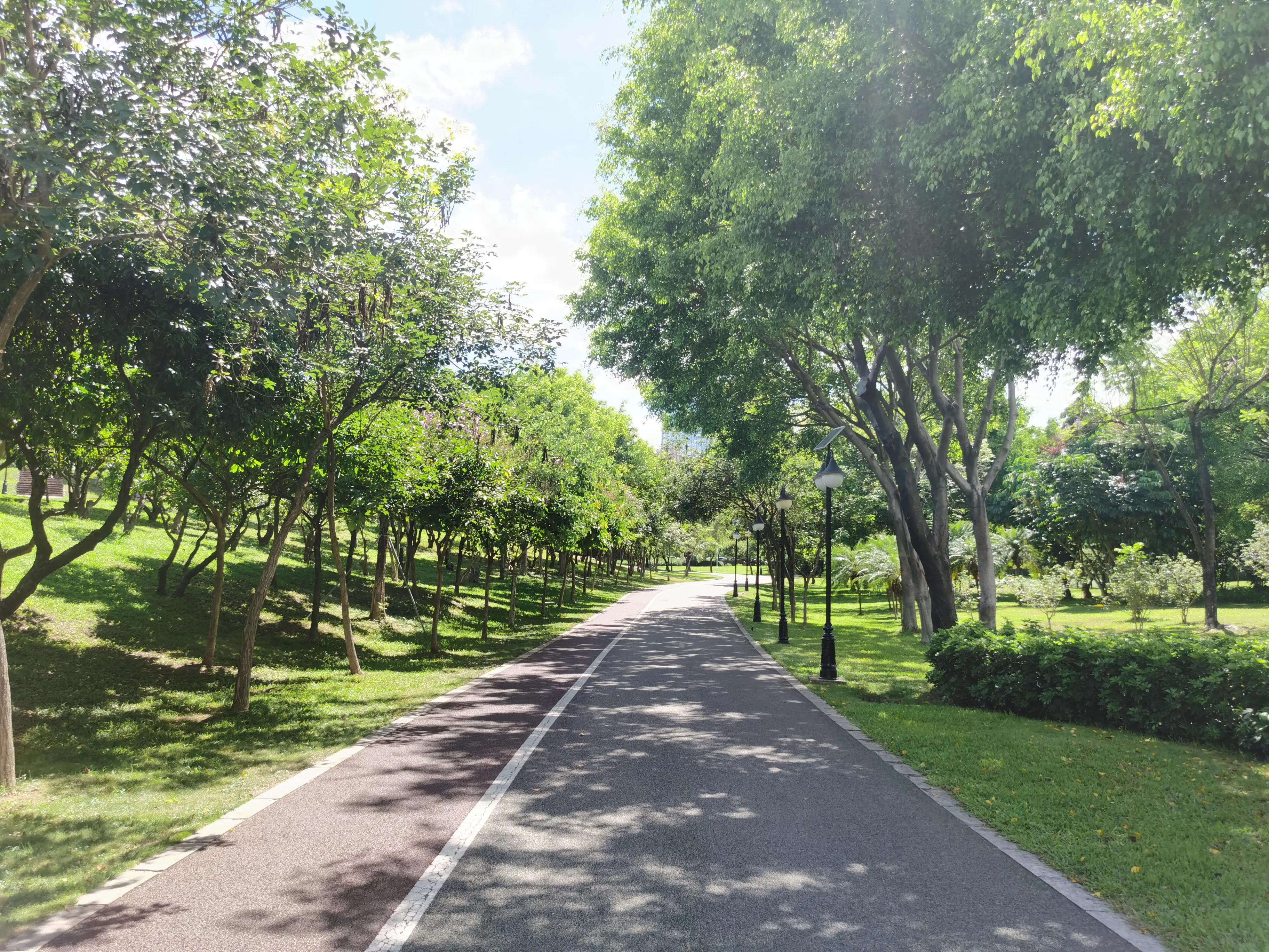 笔架山公园福田河,深圳笔架山福田河图片