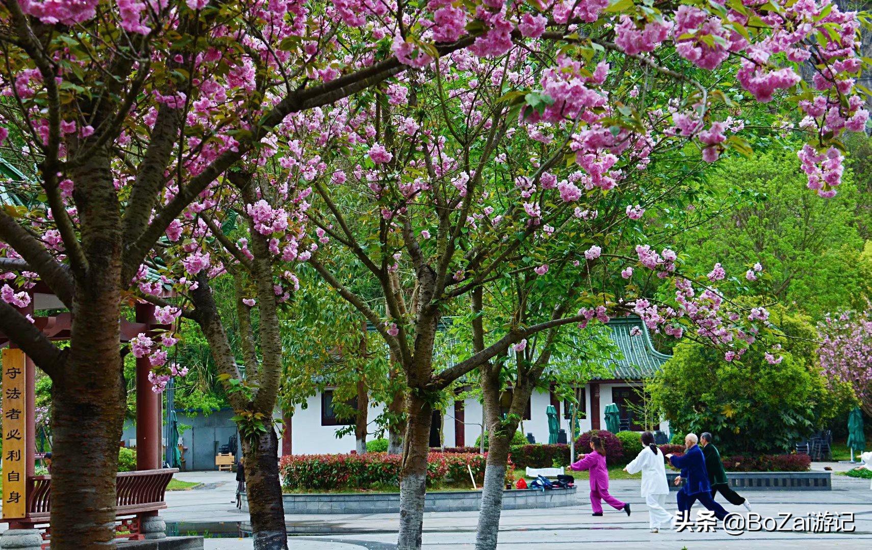 去四川南充都有哪些好耍的,南充市区最好的景点排名前十