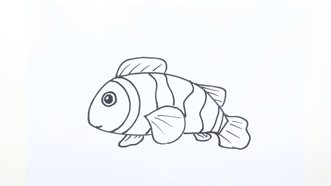 十种鱼的画法,鱼画法简笔画