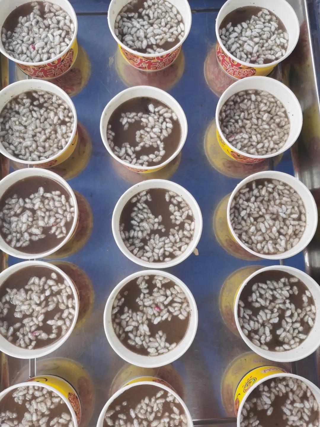 贵州遵义湄潭油茶汤,湄潭油茶汤