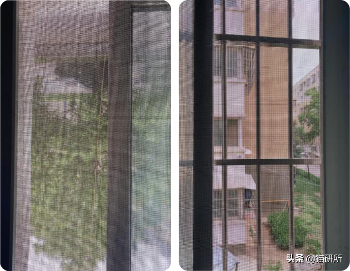 高层养猫到底要不要封窗,封窗养猫