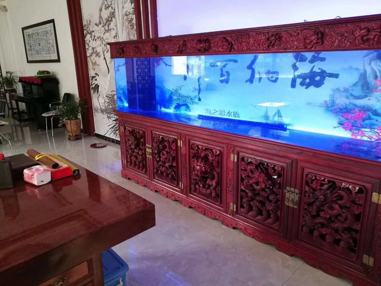 鱼缸养锦鲤鱼技术大全,缸养小锦鲤鱼的基本方法