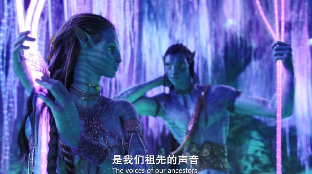 阿凡达最新彩蛋,阿凡达你不知道的隐藏细节