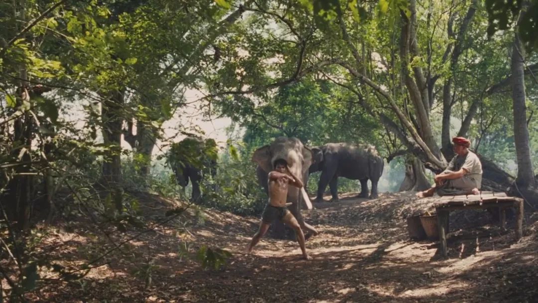 托尼贾对金星的评价,托尼贾金星的电影叫什么