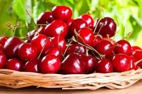 陕西樱桃采摘季节是几月份,陕西最近摘樱桃的地方