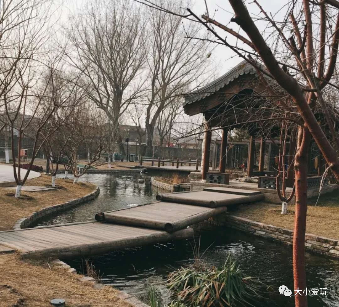 北京适合踏春旅游景点,北京春天看花的景点推荐