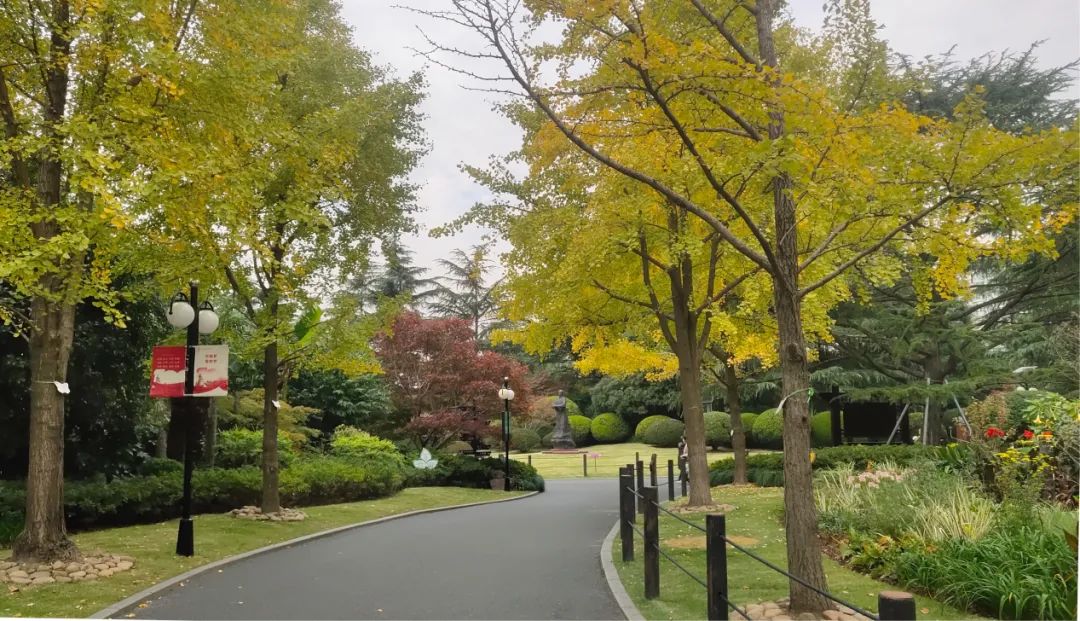 上海最美秋景,上海哪些公园可以拍秋景