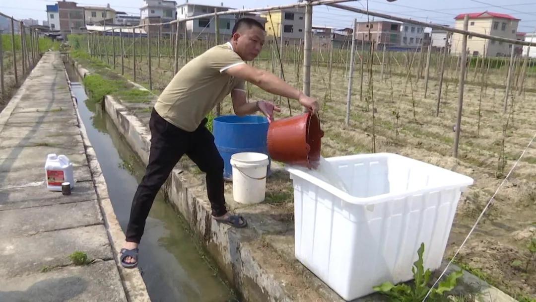 长泰的发展趋势,长泰发展前景怎么样