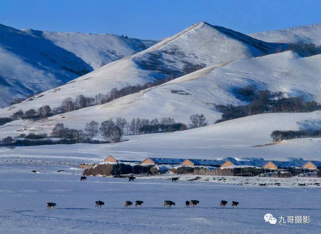坝上草原天路美景,大美坝上风光系列之一