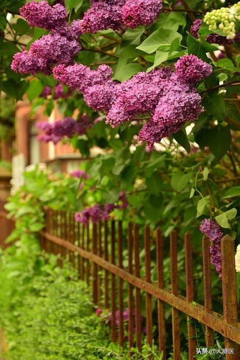 糖尿病前期通过调理可以恢复吗,糖尿病前期可以逆转如何有效干预