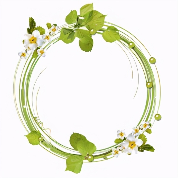 花花边框图片大全简单又漂亮,花花边框视频素材