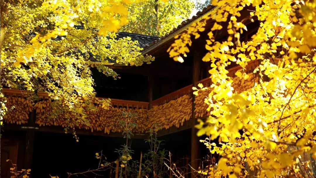 腾冲即将开通的航班,腾冲新开直飞航线