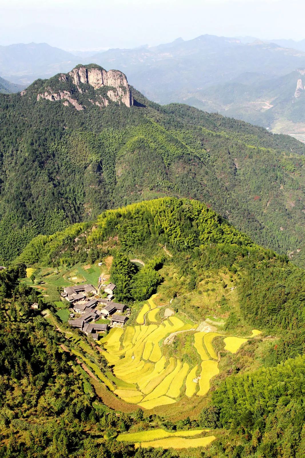 什么是台州畅行码,什么是台州