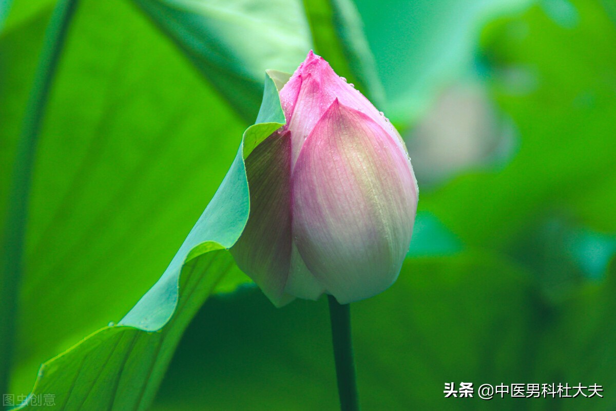 下焦湿热会导致腿酸软怎么调理,腰膝酸软小便黄是肾阴虚还是阳虚