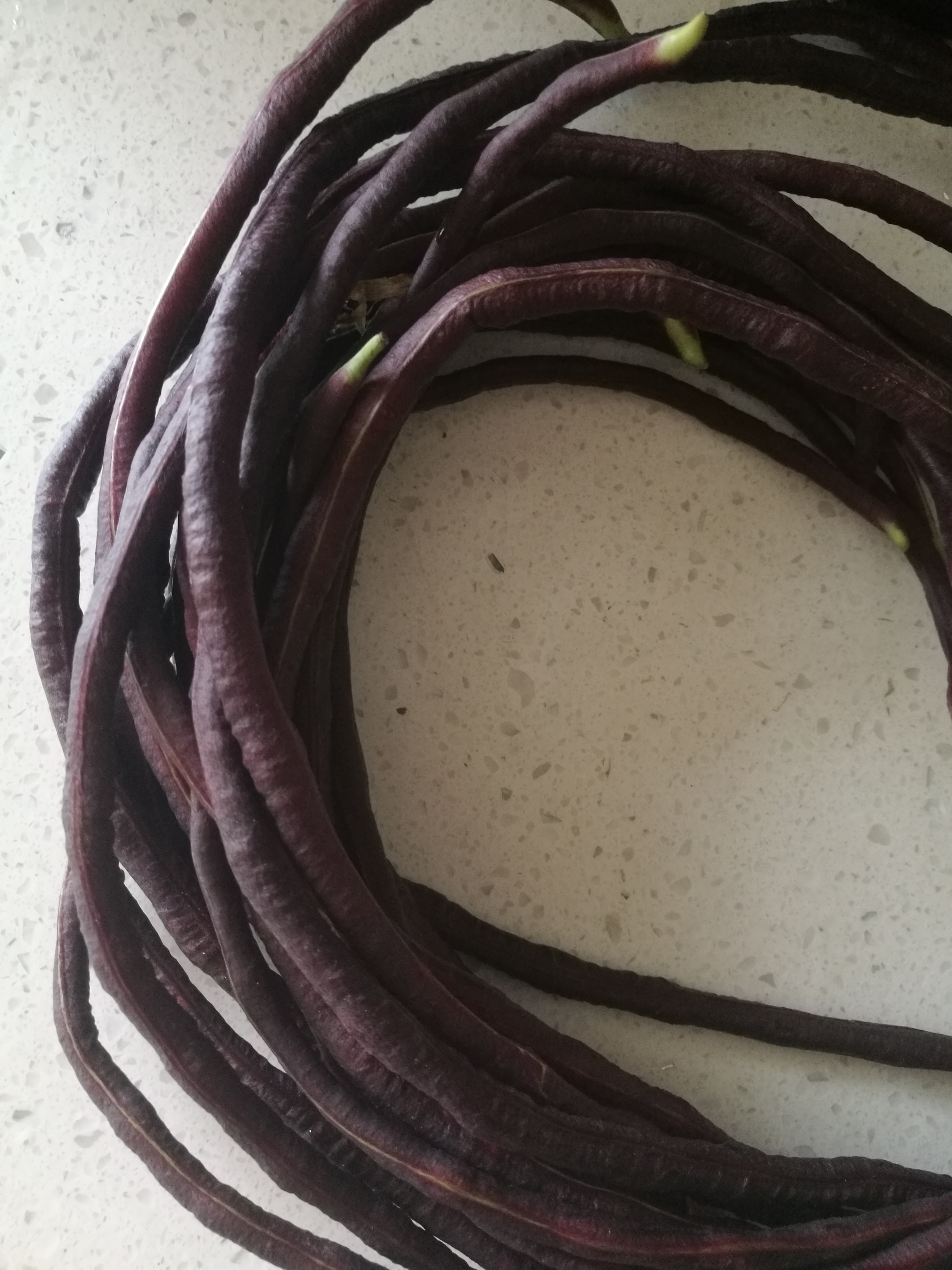 长豆角家常储存方法,长豆角不入味的方法