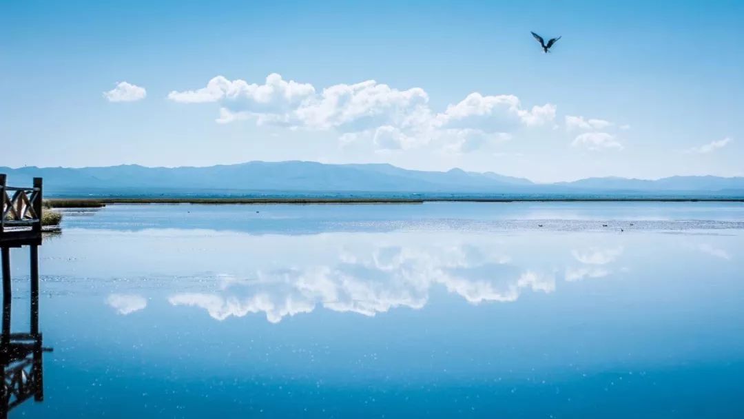 若诗若画若尔盖美景,若诗若画若尔盖文案