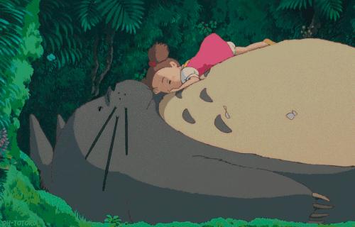 宫崎骏小龙猫的图片可以涂颜色,宫崎骏龙猫可爱视频