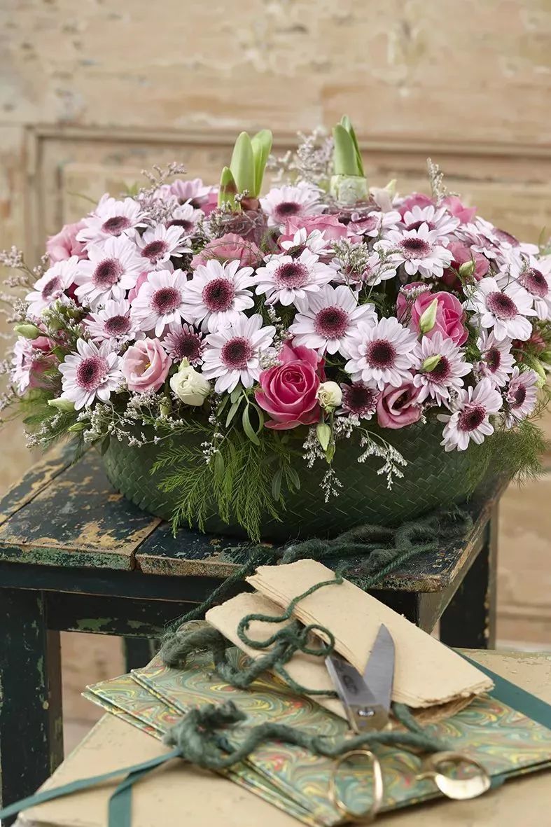 好看的切花菊推荐,好看好养的切花菊