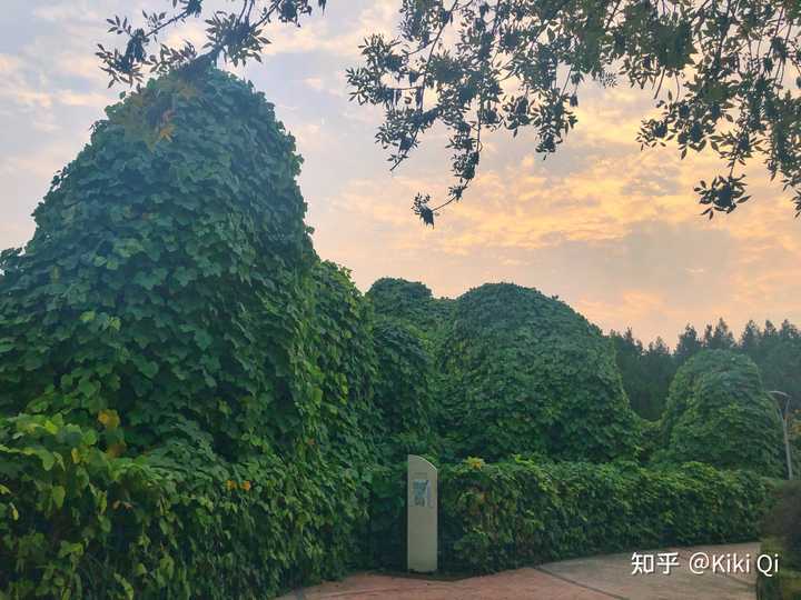 郑州有什么好吃的美食,郑州有什么好玩的地方情侣