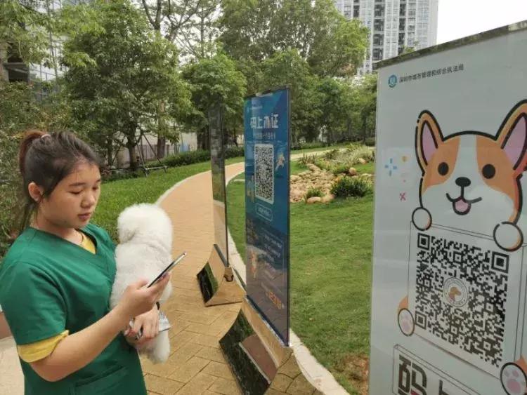 给狗狗办理狗证,深圳养狗没养犬证罚多少