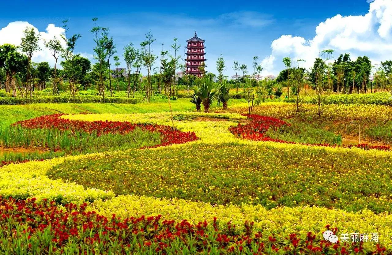 东莞麻涌美丽田园,东莞麻涌田园生活