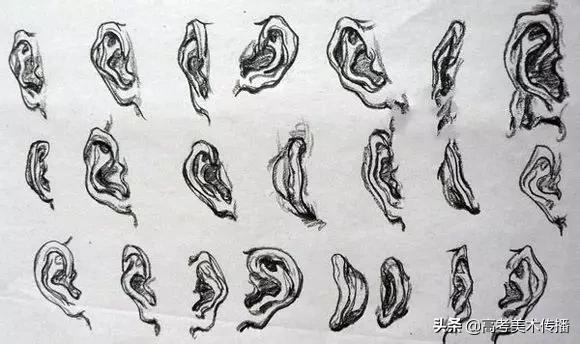 速写五官技法,速写五官的画法精讲