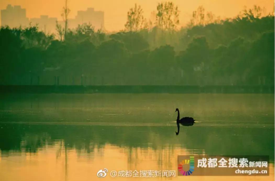 成都值得去的免费景点,成都景点小众游乐场