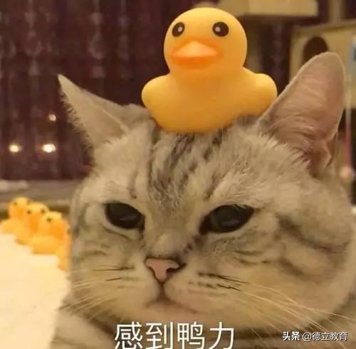 项目经理年薪40万是个什么水平,项目经理薪资水平