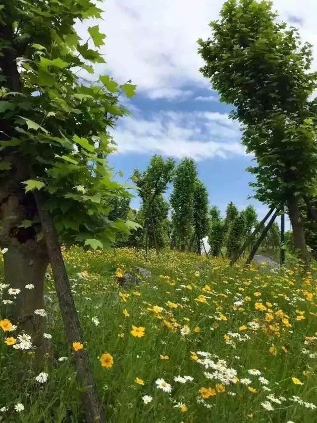 顺丰汪勇新闻发布会,顺丰小哥汪勇现状