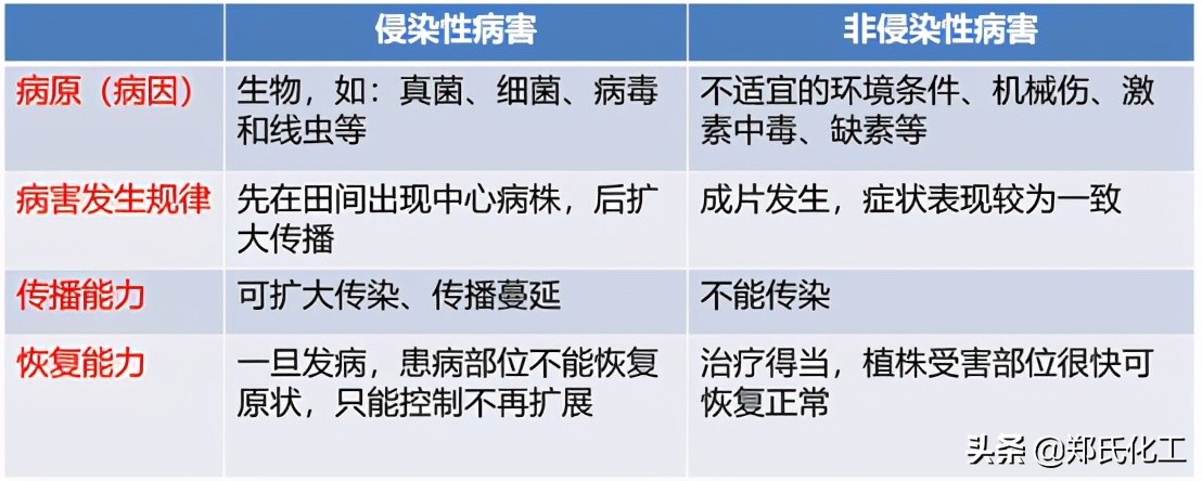 农作物细菌病怎么辨别,如何区分病毒细菌真菌病害