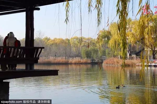 北京古塔公园推荐,北京最良心的古寺免费景点