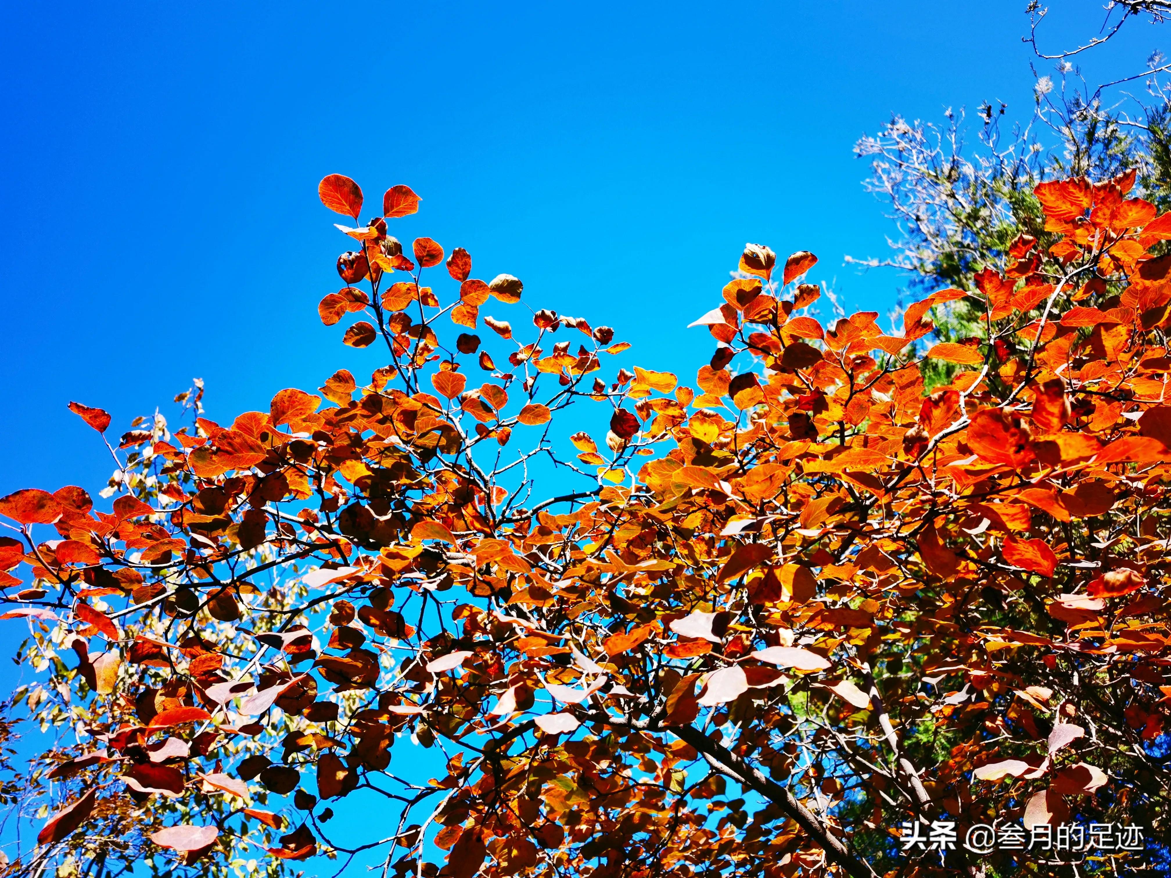 北京房山免费景点，登山徒步怪石山，领略大自然的鬼斧神工之美