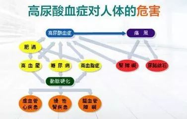 医生没有时间锻炼怎么办,医生不告诉你痛风的秘密