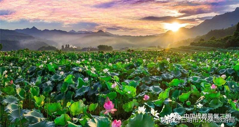 我在莆田挺好的,我在淮安挺好的