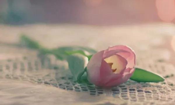 巧囊备孕不成功,多囊有息肉如何备孕