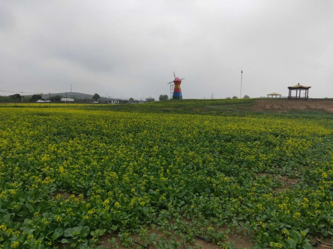 全国乡村旅游重点村,盖州双台镇思拉堡开发