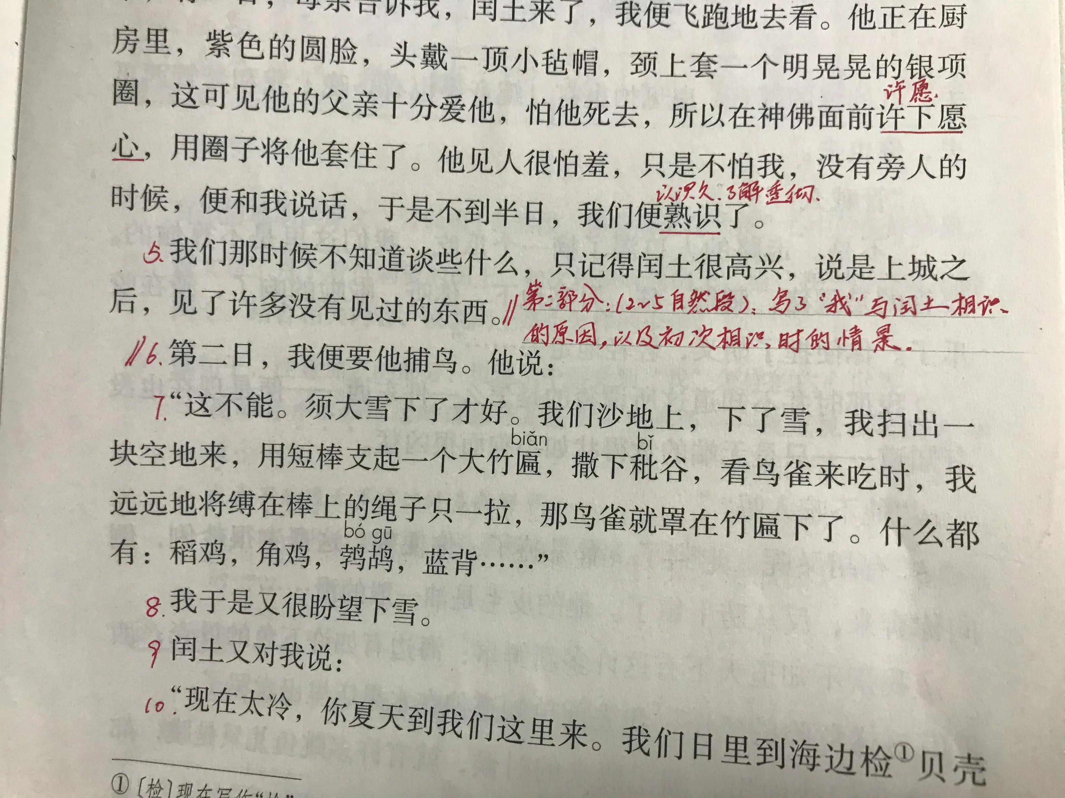 六年语文《少年闰土》,看资深教师讲解全文和课后题,知识点不少