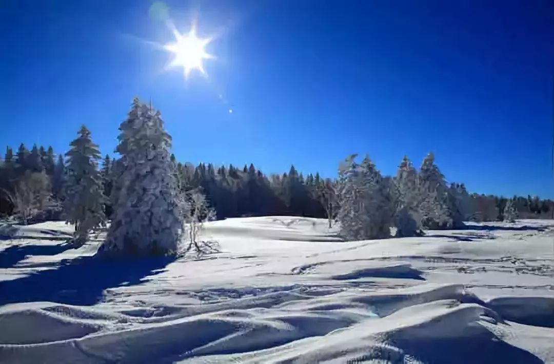 中国各地特产一览表,全国各地零食特产一览表