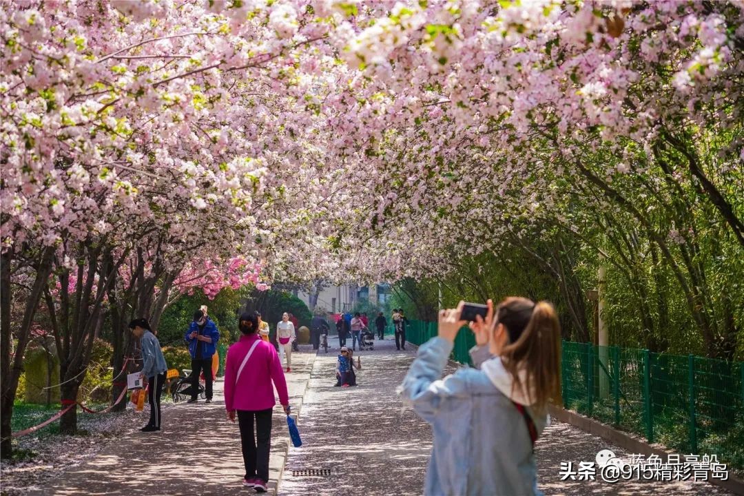 冬日李村公园,李村公园鬼步舞