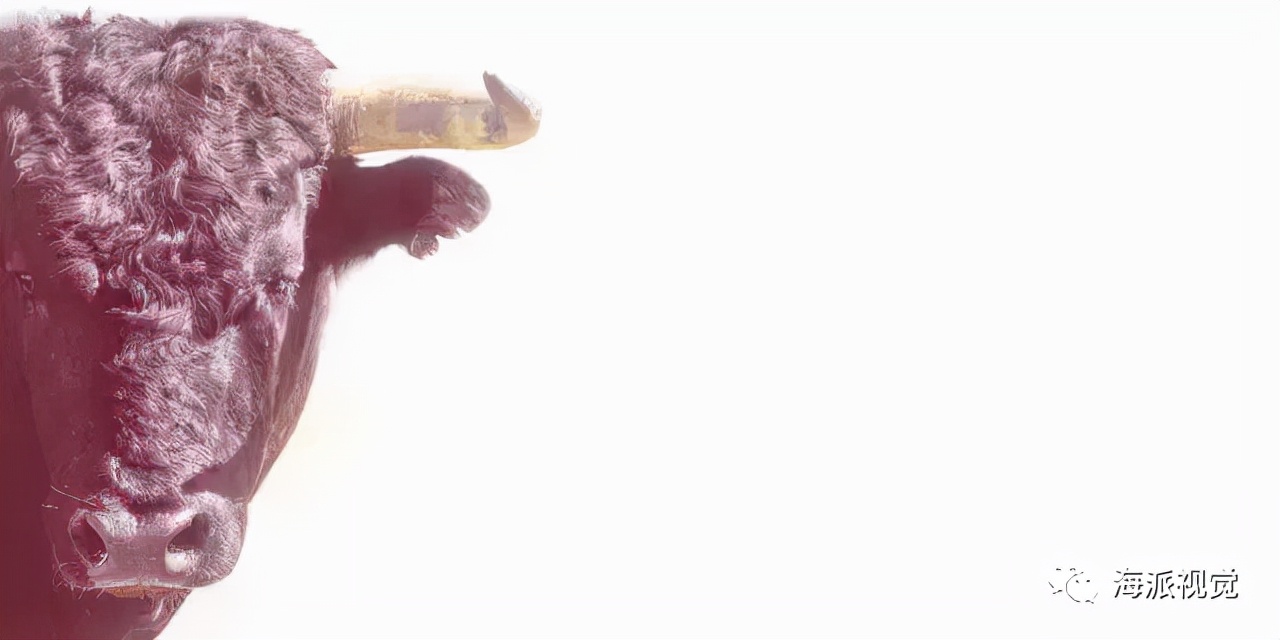 logo设计寻找灵感的网站,国内可以上的logo设计灵感网站