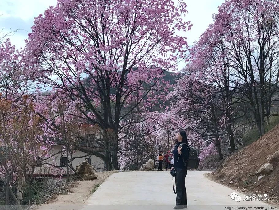 药王谷里觅旧迹（原图文）