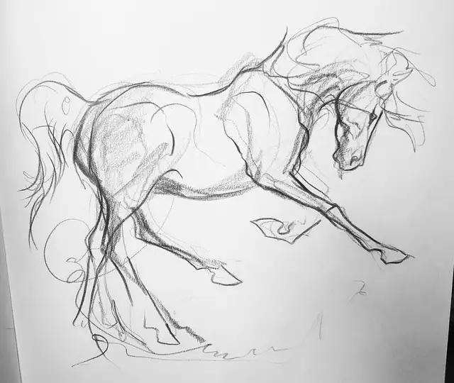 马怎么画简单图画,马怎么画更真实