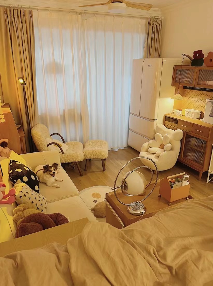 30平米客卧一体小户型,30平方客餐厨