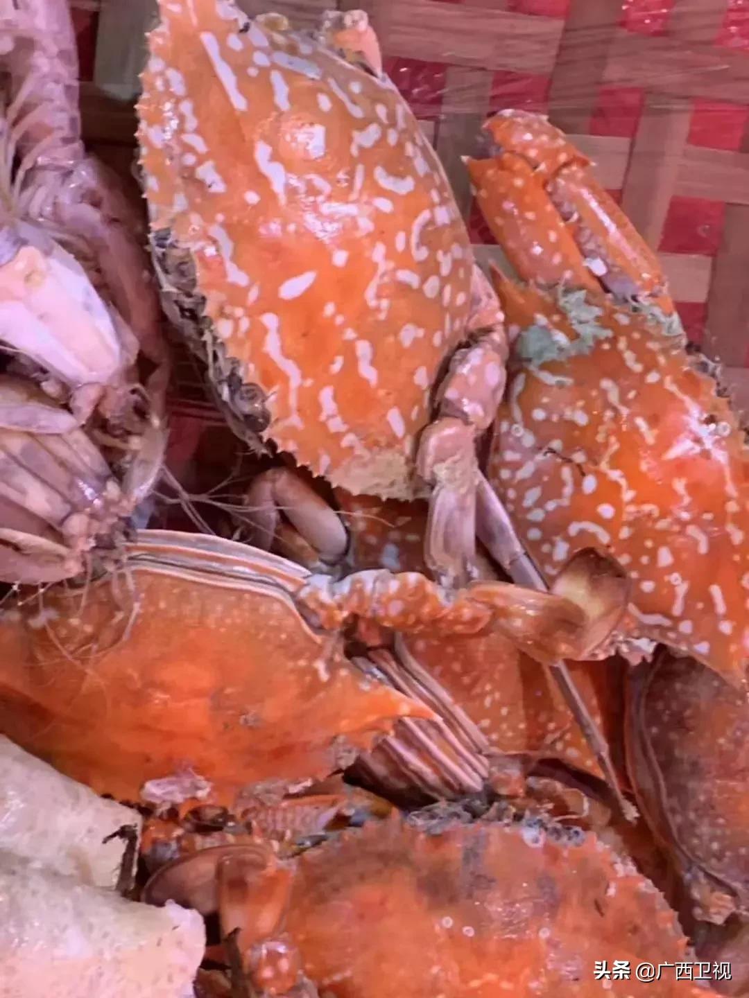 千万别去侨港，怕你玩得太开心不想回家