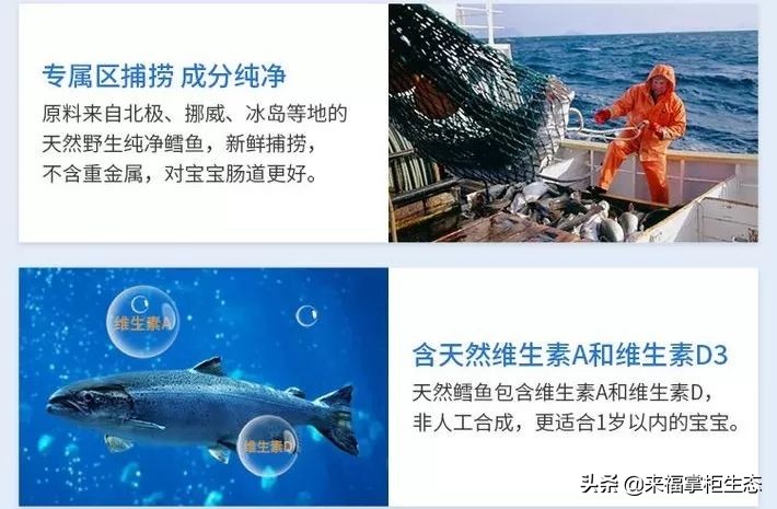 挪威小鱼深海鳕鱼油dha,挪威鱼肝油dha价格