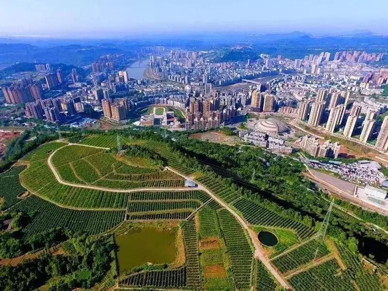 巴中有多大面积和人口,巴中和汉中差距有多大